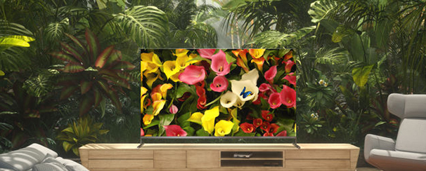 Home appliances 3D animation l "TCL" TV overseas promotion video